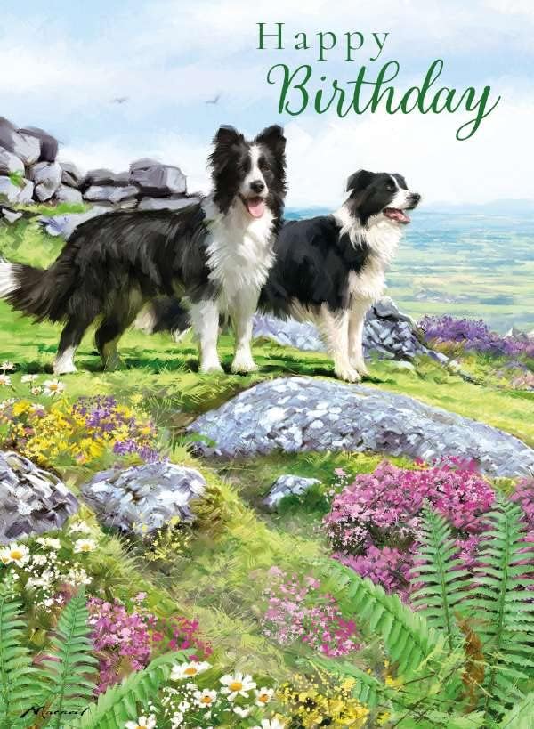 Noel Tatt Female Birthday Card - General Card For Women - Birthday Fizz