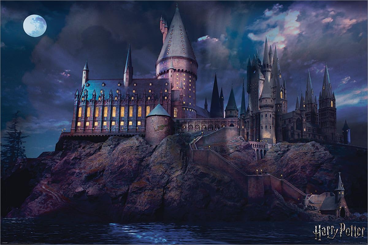 Laminated Harry Potter Hogwarts Maxi Poster