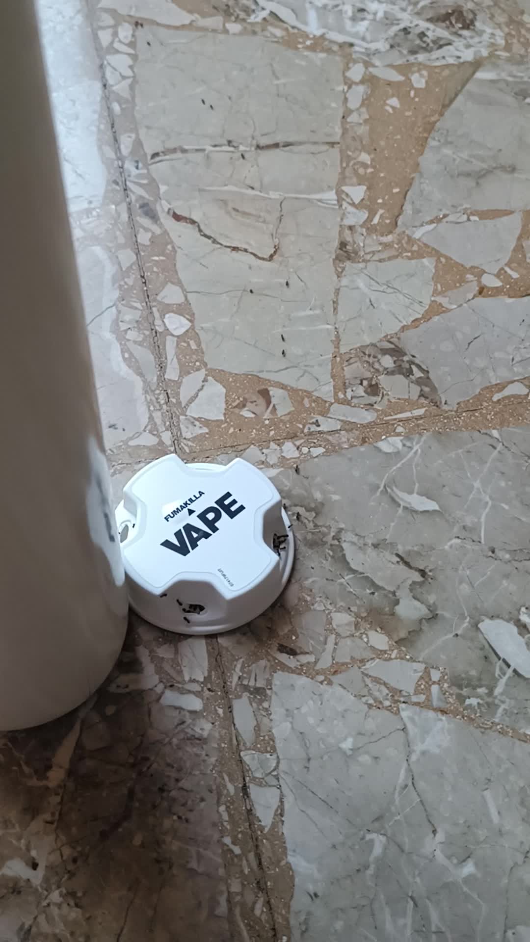 Vue 7