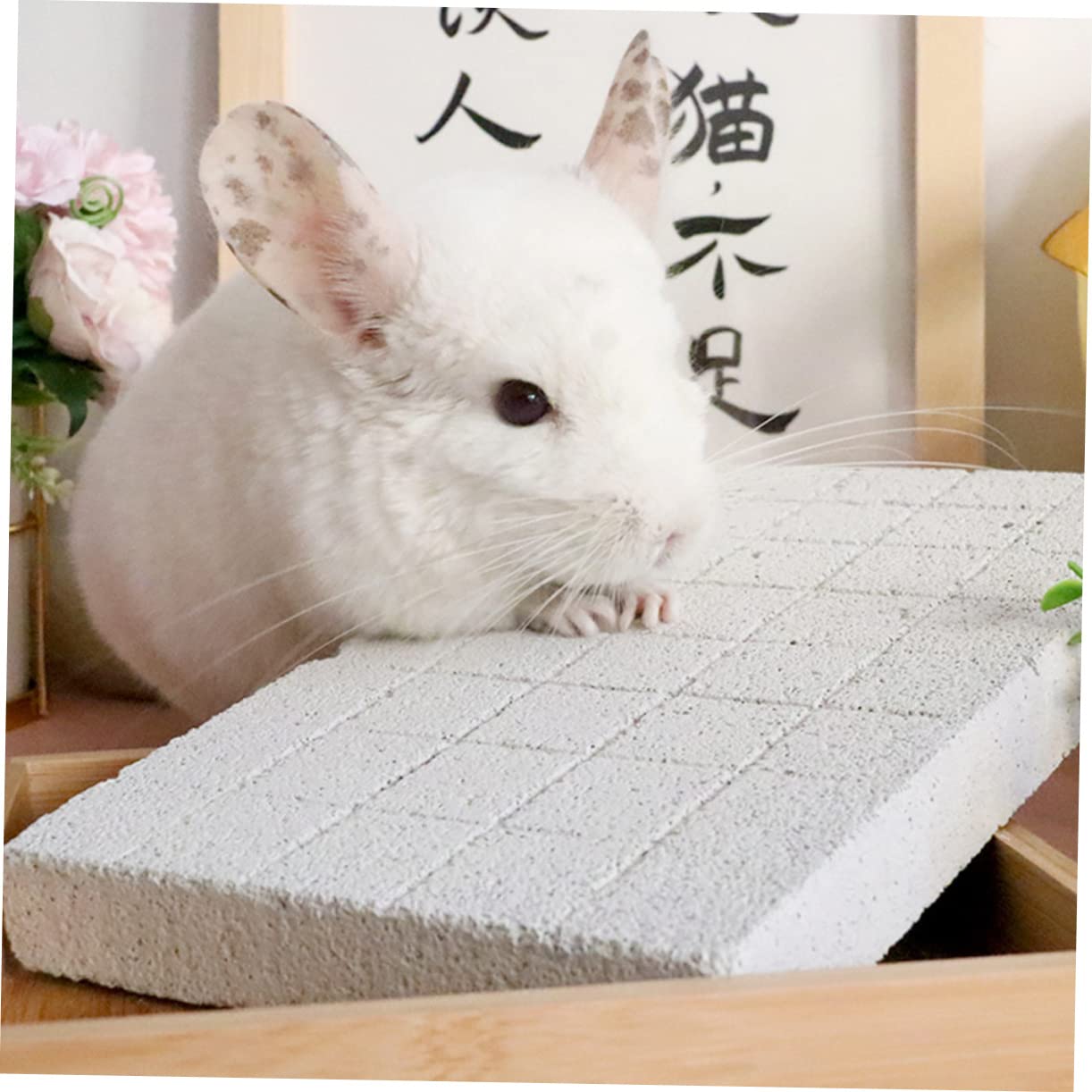 POPETPOP Schleifklauenbrett für Kleintiere als Fußpolster von Meerschweinchen und Meerschweinchenfüße Matte im Käfig als Rabbit Toys zur Nagelpflege