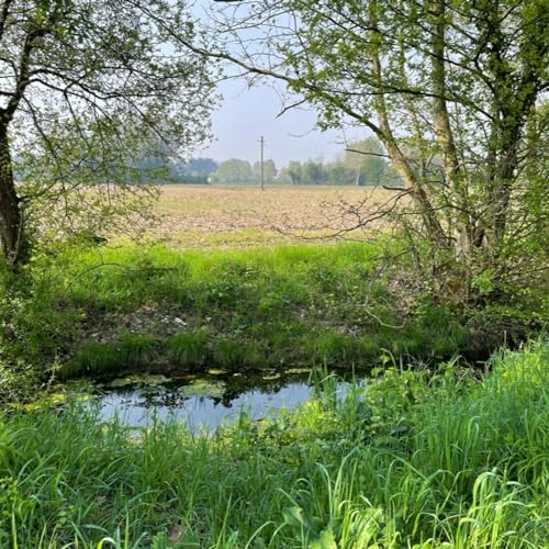 Rilassamento - viaggio nella natura