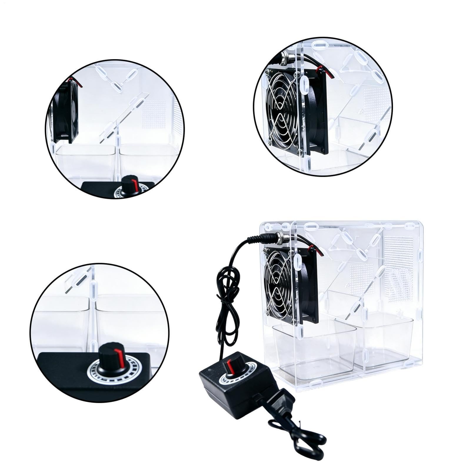 Macchina Soffiatrice per Gusci di Mangime per Uccelli | Smontabile con Rimozione Elettrica dei Gusci,Macchina Decorticatrice e Pulitrice per Mangime per Uccelli,per Amazzoni Calopsitte Cocorite Pappag
