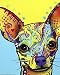 Chihuahua I by Dean Russo Art Print, 8 x 10 inches