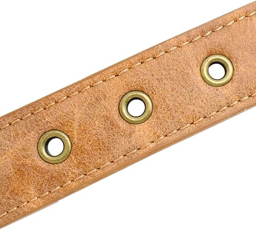 Miniatura 4 de Berry Pet Collar de perro de cuero con púas de 2 pulgadas, remache afilado antimordidas para perros Pit Bull medianos y grandes, cuello marrón para
