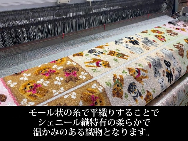 Amazon | [アーンジョー] チワワ 日本製 ハンカチ タオル 23cm