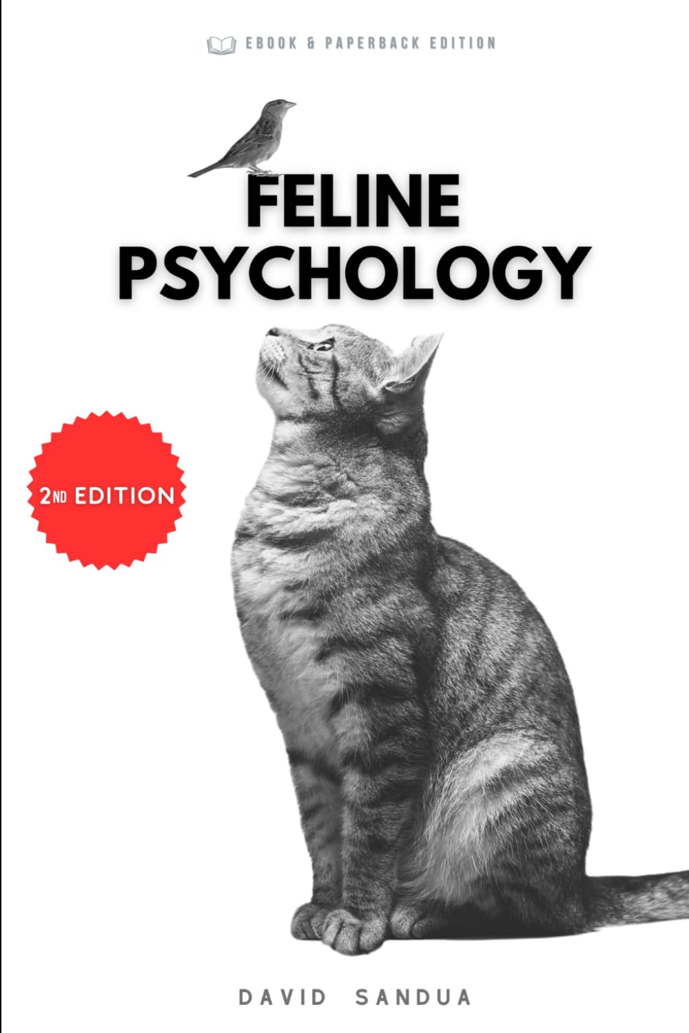 FELINE PSYCHOLOGY: UNDERSTANDING THE BEHAVIOR AND EMOTIONS OF CATS IN THE HOME