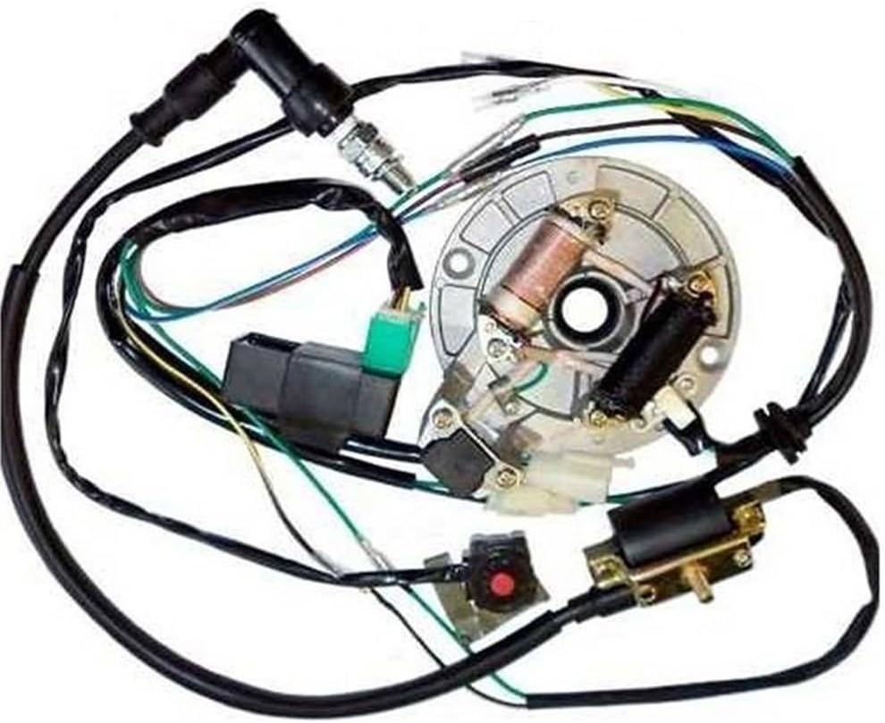 TDPRO Wire Harness CDI Ignition Coil Spark Plug Kill Switch Magneto Stator Plate Flywheel Assembly Kit for Kick Start Dirt Pit Bike 50-125cc
