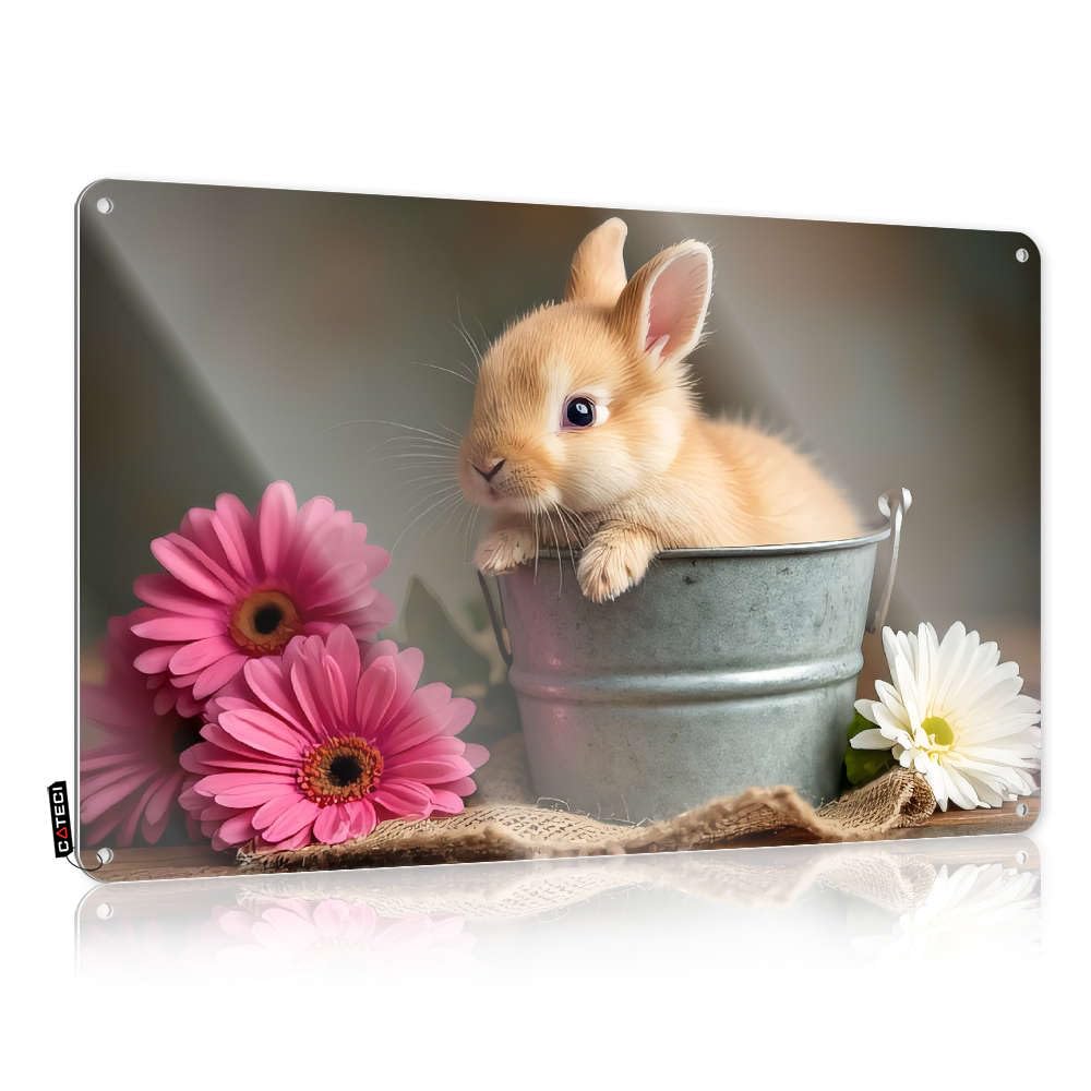 Sujd Men's Colour Decor For Room Metal Sign Whimsical Fairy Cottagecore Flat Print Tin Art : Emo & Signs Outside Home - A Cute Bunny In Bucket With Flowers.