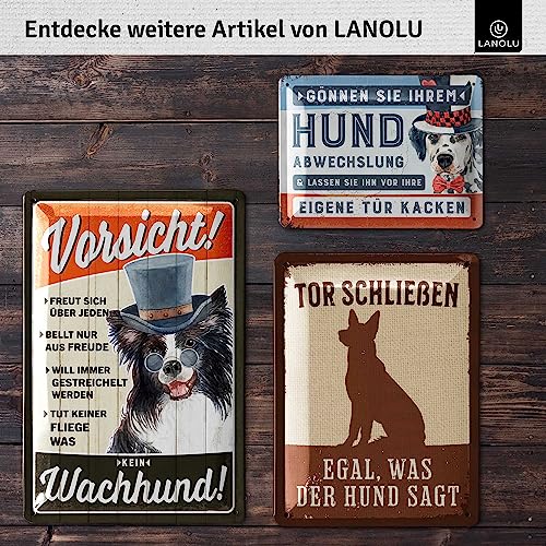 LANOLU Retro Blechschild Warnung vor dem Hund Schilder, retro Blechschild vorsicht Hund Schild, Achtung Hund Schild lustig, Warnschild Hund, Metallschilder mit Sprüchen, 20x30cm