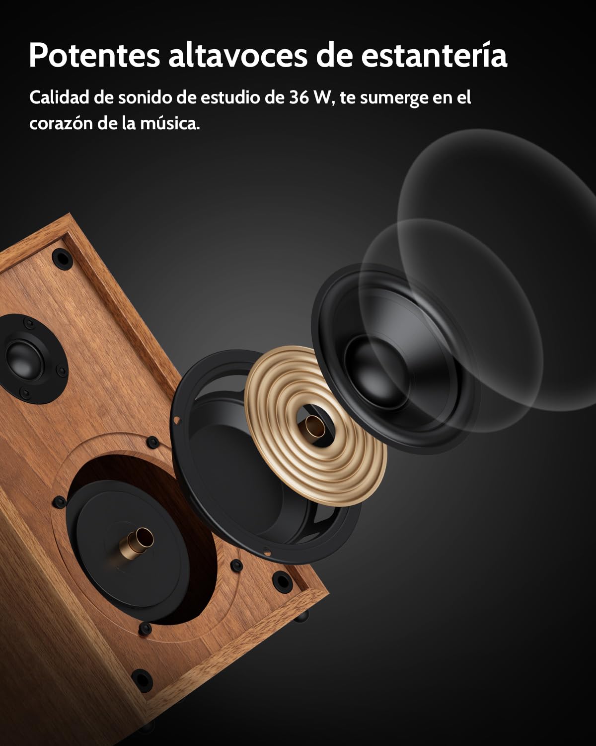 1 BY ONE Tocadiscos de Vinilo Bluetooth con Sistema Hi-Fi con Altavoces de 36 vatios, Reproductor de Discos de Vinilo con Cartucho magnético Conector inalámbrico con Otro Dispositivos