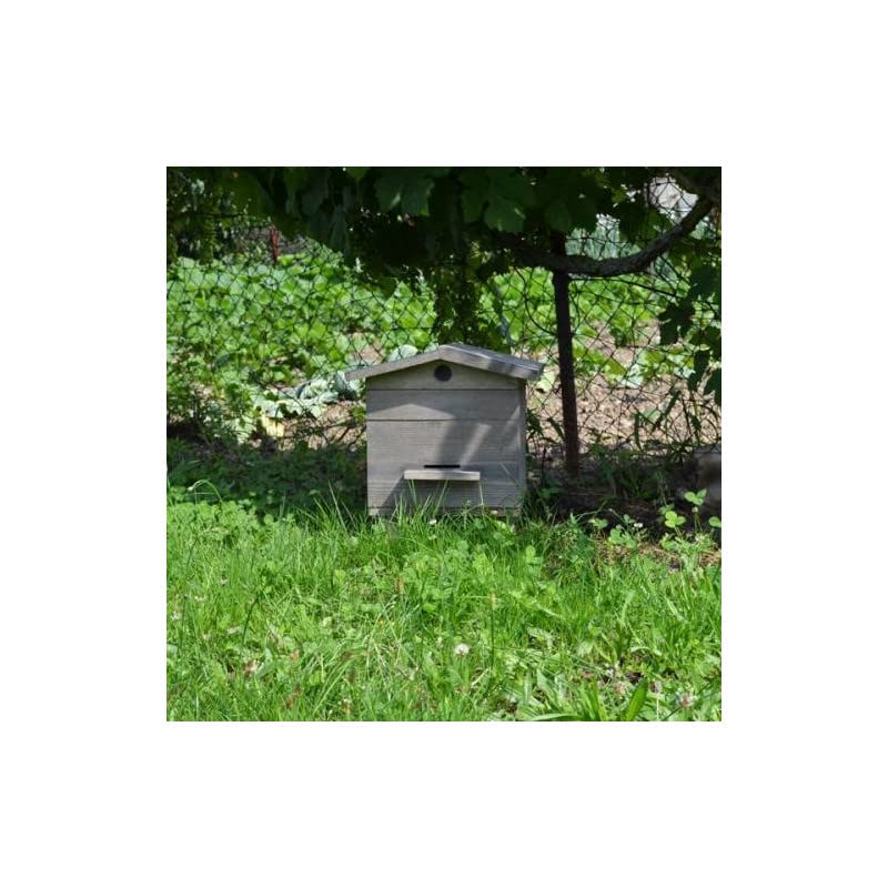 Ruche Rustique 37 cm en Bois 5 Cadres