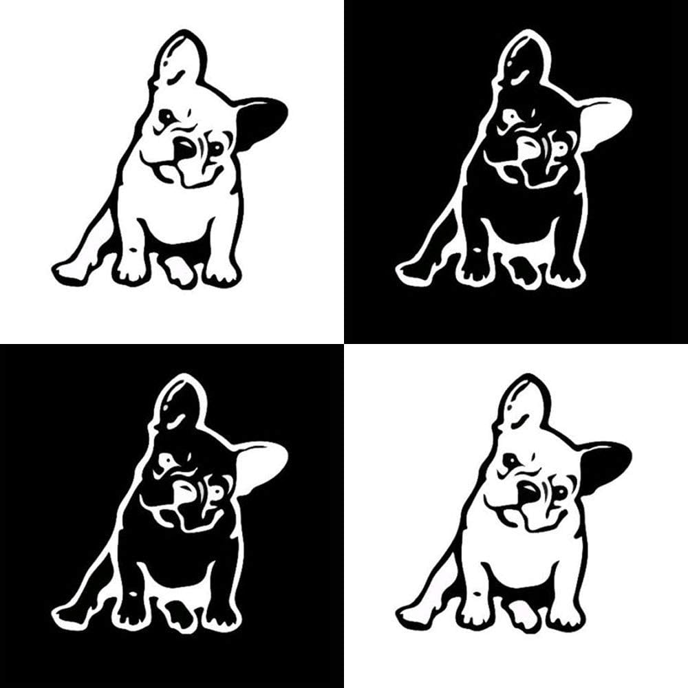 vinile per finestre per camion