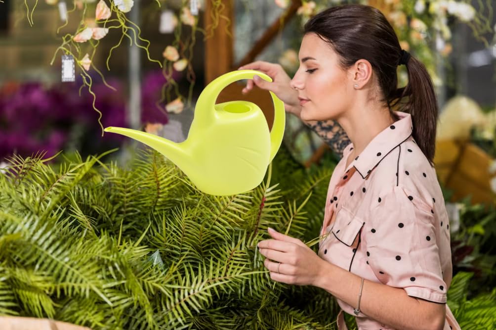 View 4