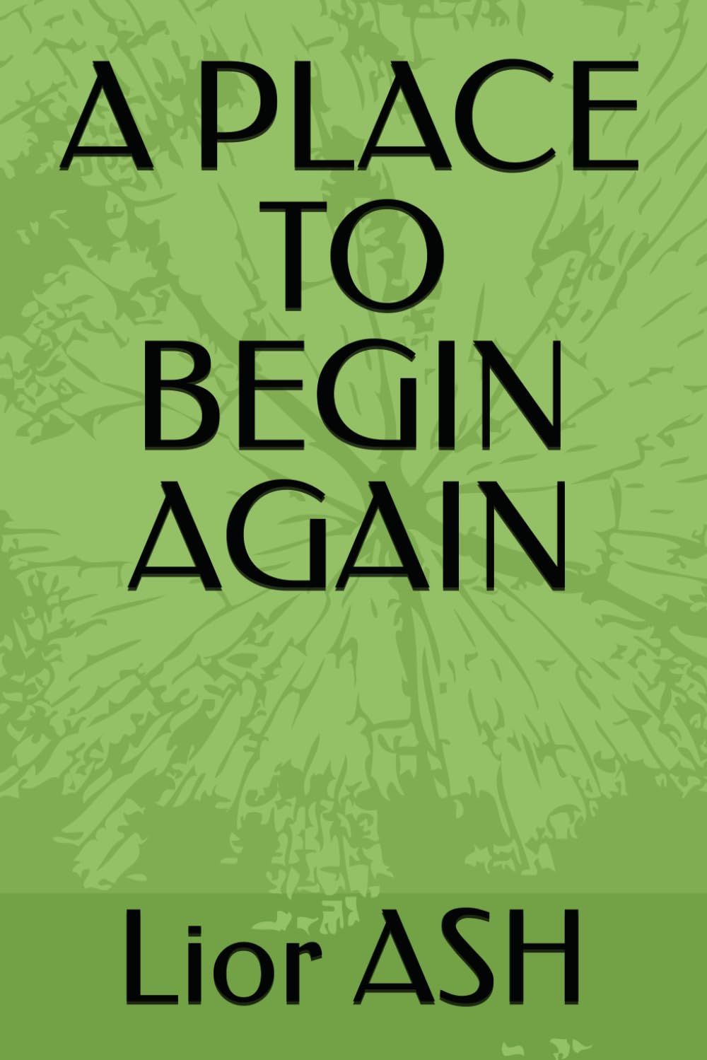 A PLACE TO BEGIN AGAIN