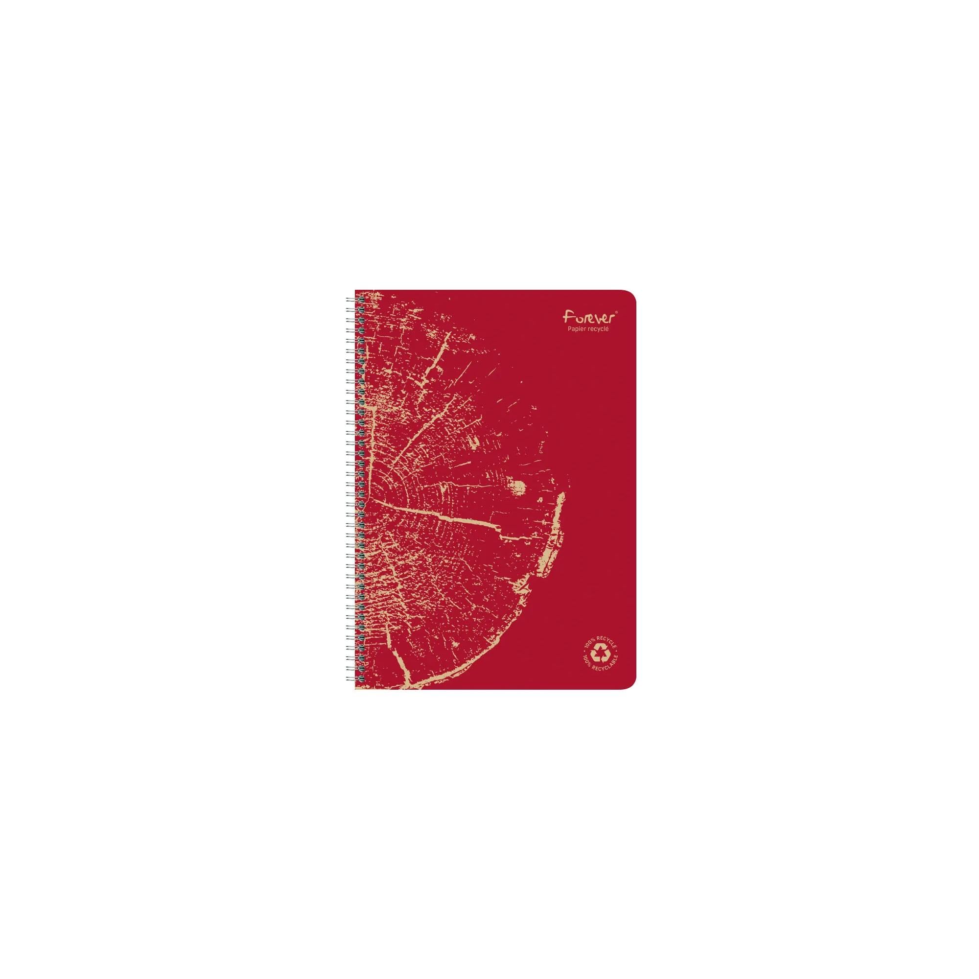 CLAIREFONTAINE Cahier Reliure Spirale 21x29,7cm 360 Pages Petits Carreaux 5x5 Papier 90g