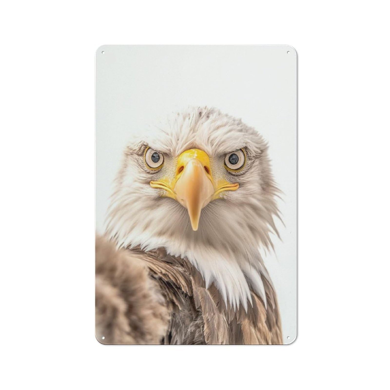 Junmoney Bald Eagle Selfie Rustic Metal Plaque 30X20cm For Guest Room Or Hallway, A Decorative Metal Sign For Guest Rooms And Hallways
