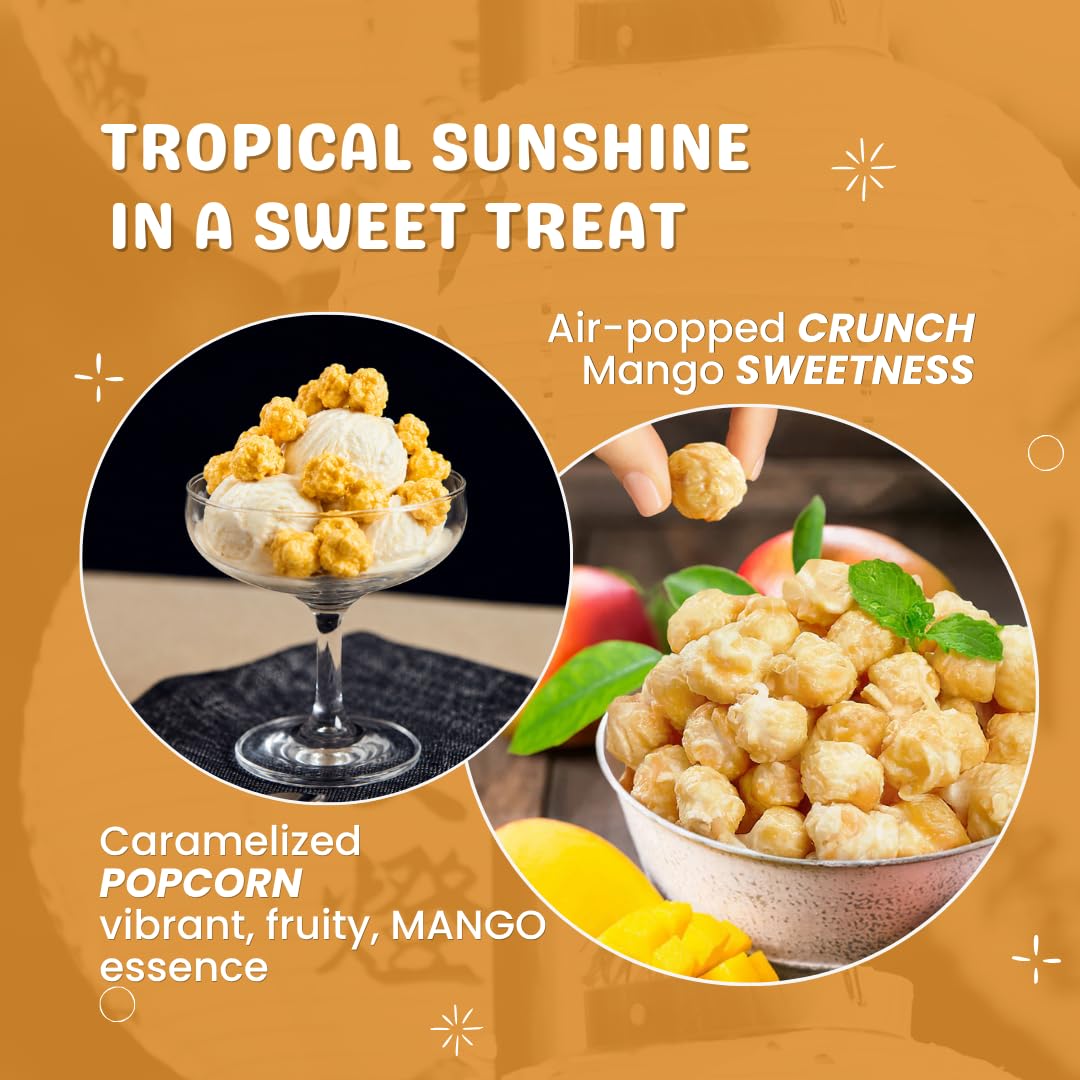 Amazon.com: CHEF POPPIN Asian-Style Gourmet Flavored Popcorn, Non