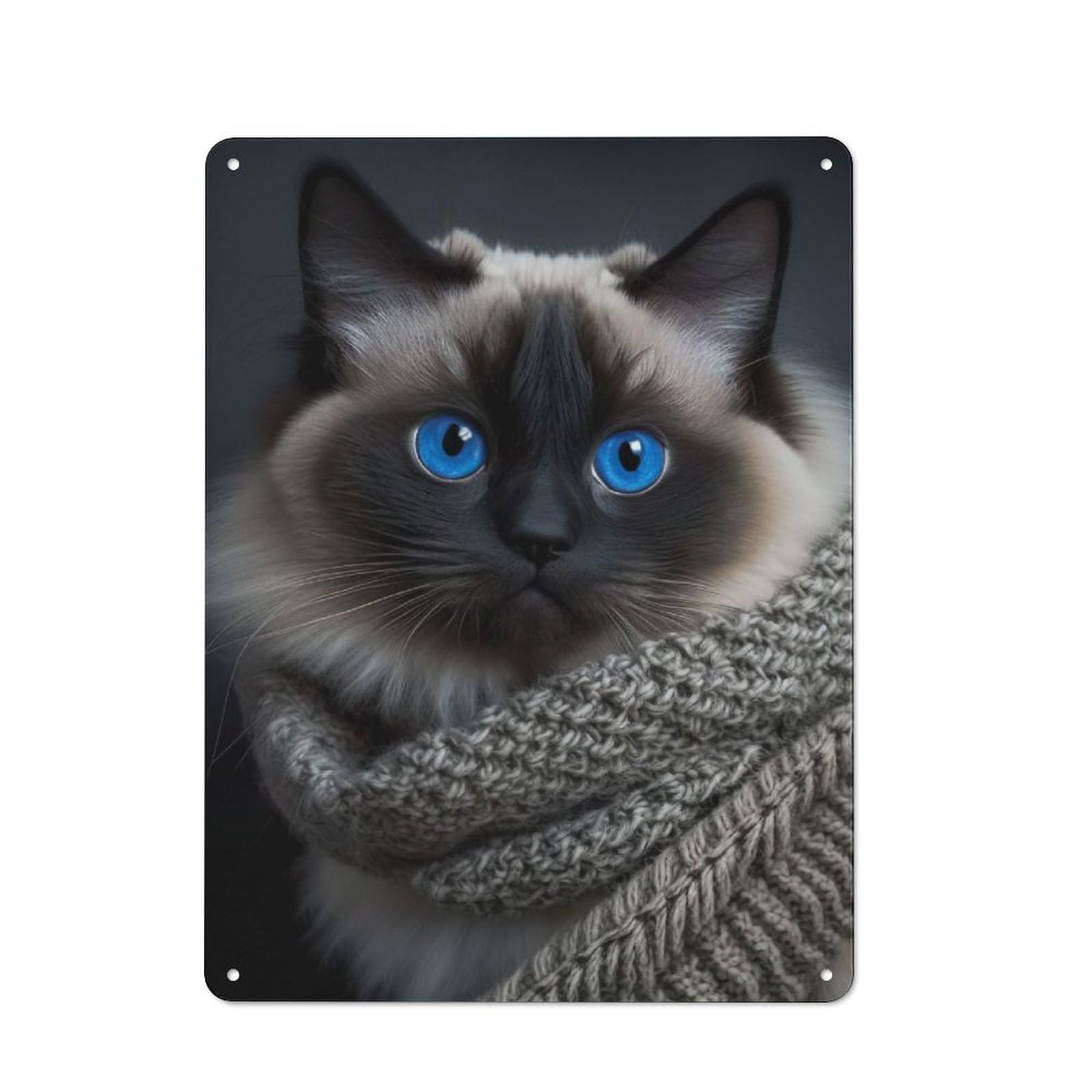 Junmoney The Birman Retro Metal Plaque 40X30cm For Bar Or Restaurant, Suited To Restaurant Interior Fans