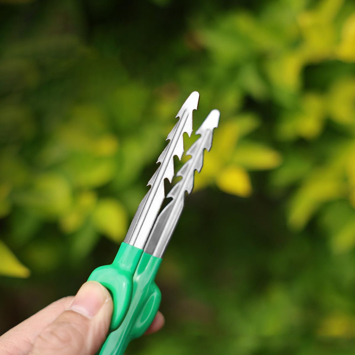 Pinzette da Giardino Professionali in Acciaio Inox Pinza a Punta Dritta Seghettata per Piante Succulente Cactus e Bonsai Strumento di Precisione Portatile per Trapianto e Cura Piante