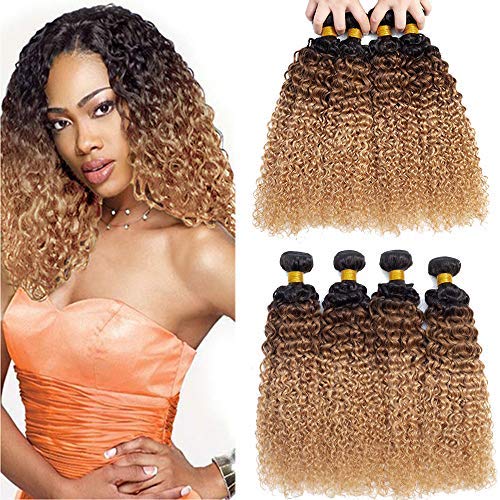 ELEE'S HAIR Ombre Brazilian Hair Curly human Hair Bundles Virgin Human Hair Bundles Ombre Human Hair Weave 3 Bundles(1B/30/27 16 18 20)