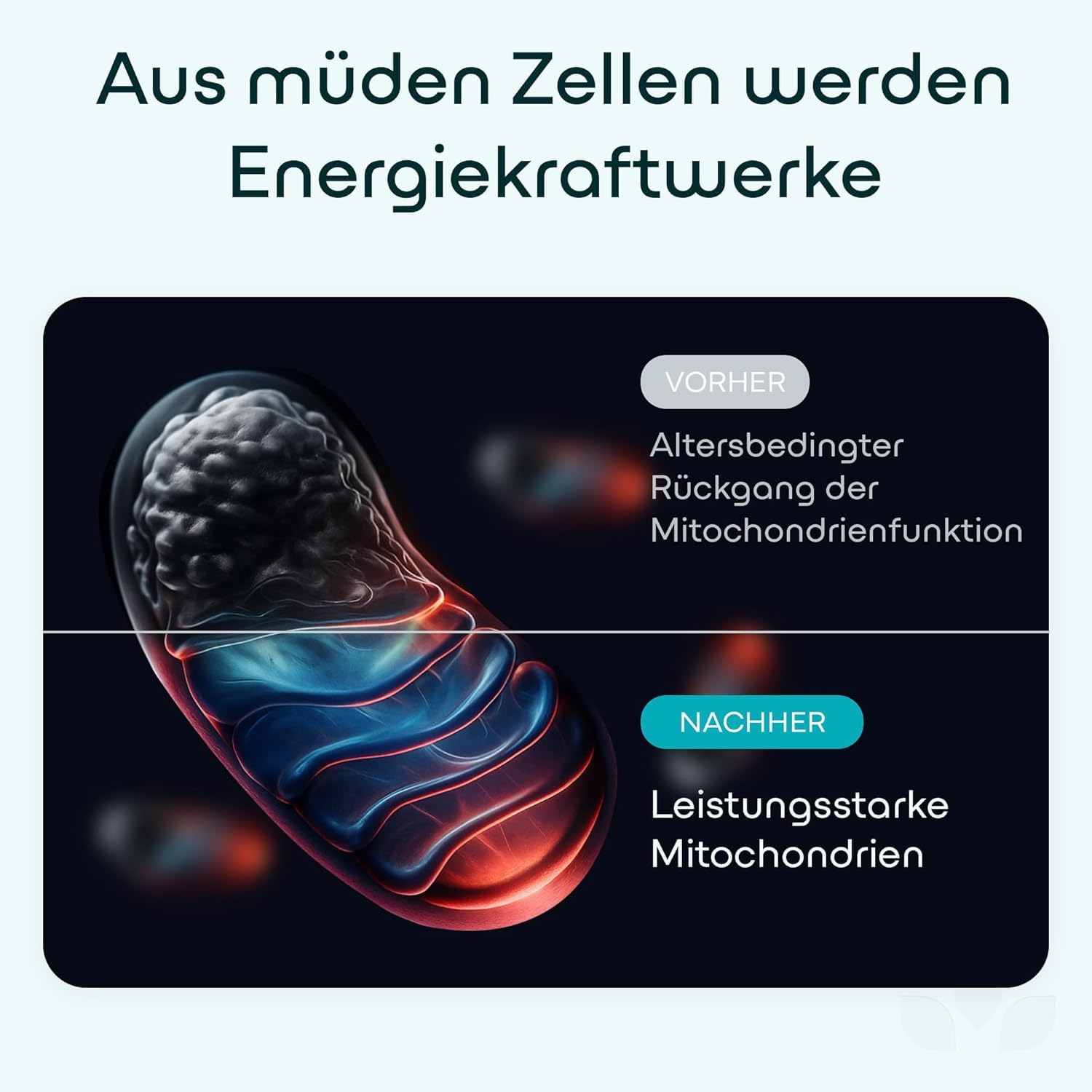 Green Lab NAD+ Komplex 1200 mg – Extra Starkes Liposomal NMN-Alternative Supplement mit Resveratrol, CoQ10, Alpha-Liponsäure, Astaxanthin – Für Frauen & Männer – Energie, Zellschutz & Anti-Aging
