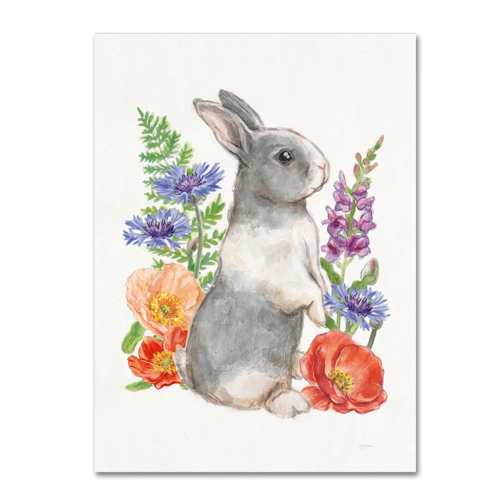 Sunny Bunny IV FB by Mary Urban, 18x24-Inch Canvas Wall Art