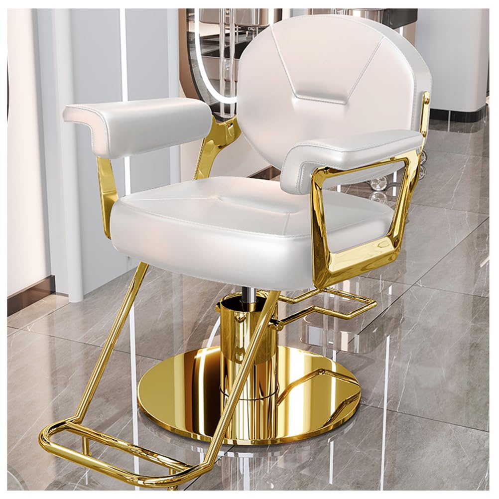OZBMA Barber Salon Chair for Hair Stylist with 440Lbs Heavy-Duty Hydraulic Pump, 360° Swivel Styling Chair, Adjustable Height Hairdresser Braider Chairs Beauty Salon, Tattoo,White,F (White F)