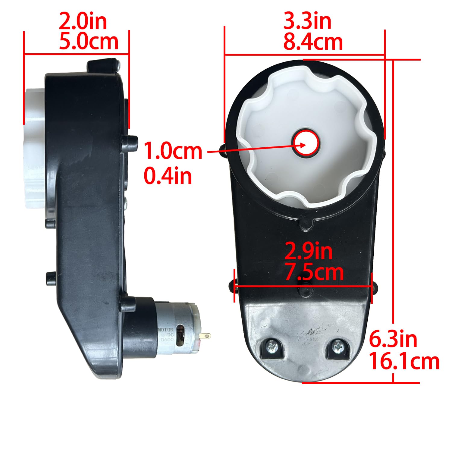 Amazon.com: 12Volt 24Volt Steering Wheel Motor Gearbox for Kid's