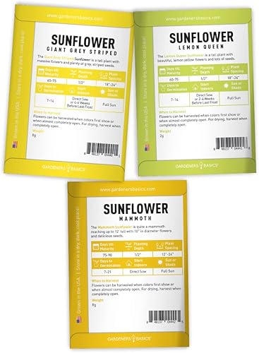 Miniatura 6 de Gardeners Basics, Semillas de girasol para plantar flores (paquete de 5) – Velvet Queen, mancha solar enana, reina limón, gigante y mamut mezcla a