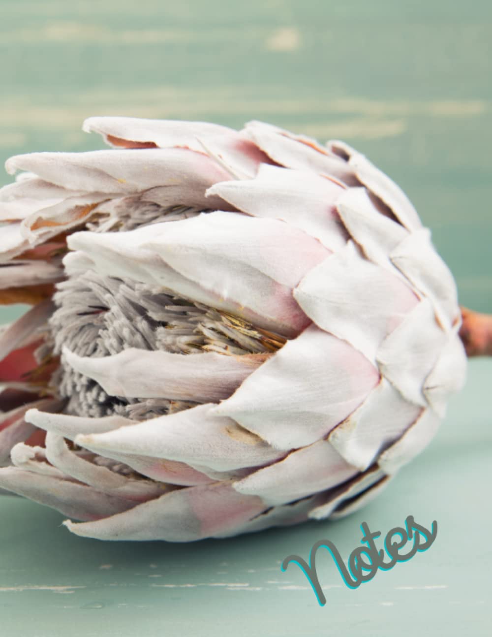 Protea Notebook (Natural Inspired)