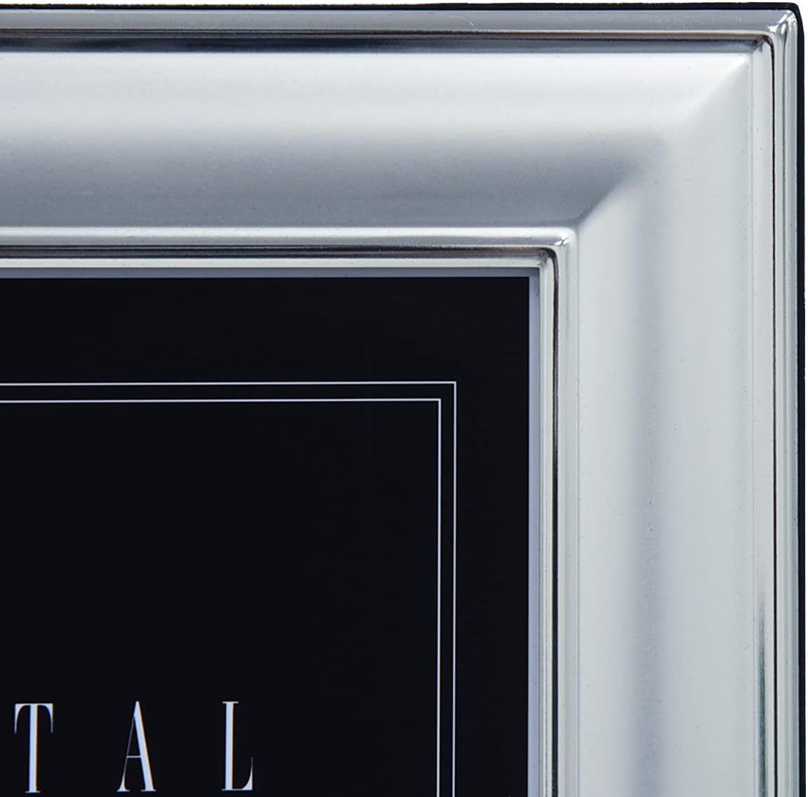 FUJICOLOR 506956 Photo Stand, 5201L, Metal, Large, 1 Side, Silver