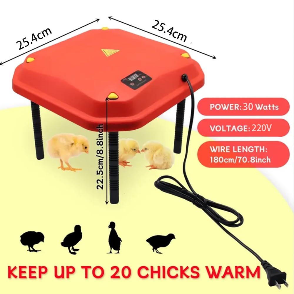 Chick Brooder Piastra di Riscaldamento,Piastra riscaldante Per Pulcini,Chick Brooder Piastra Termica,25X25 con Angolo Regolabile /Altezza / temperatura per Il Bambino Pollo Anatroccolo