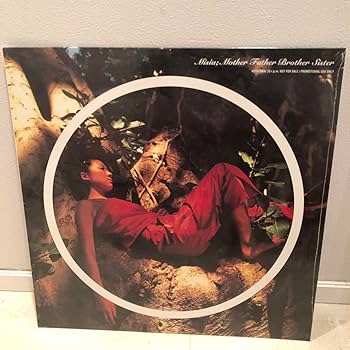 レコード Misia Amazon.co.jp: MISIA LP mother father レコード : おもちゃ