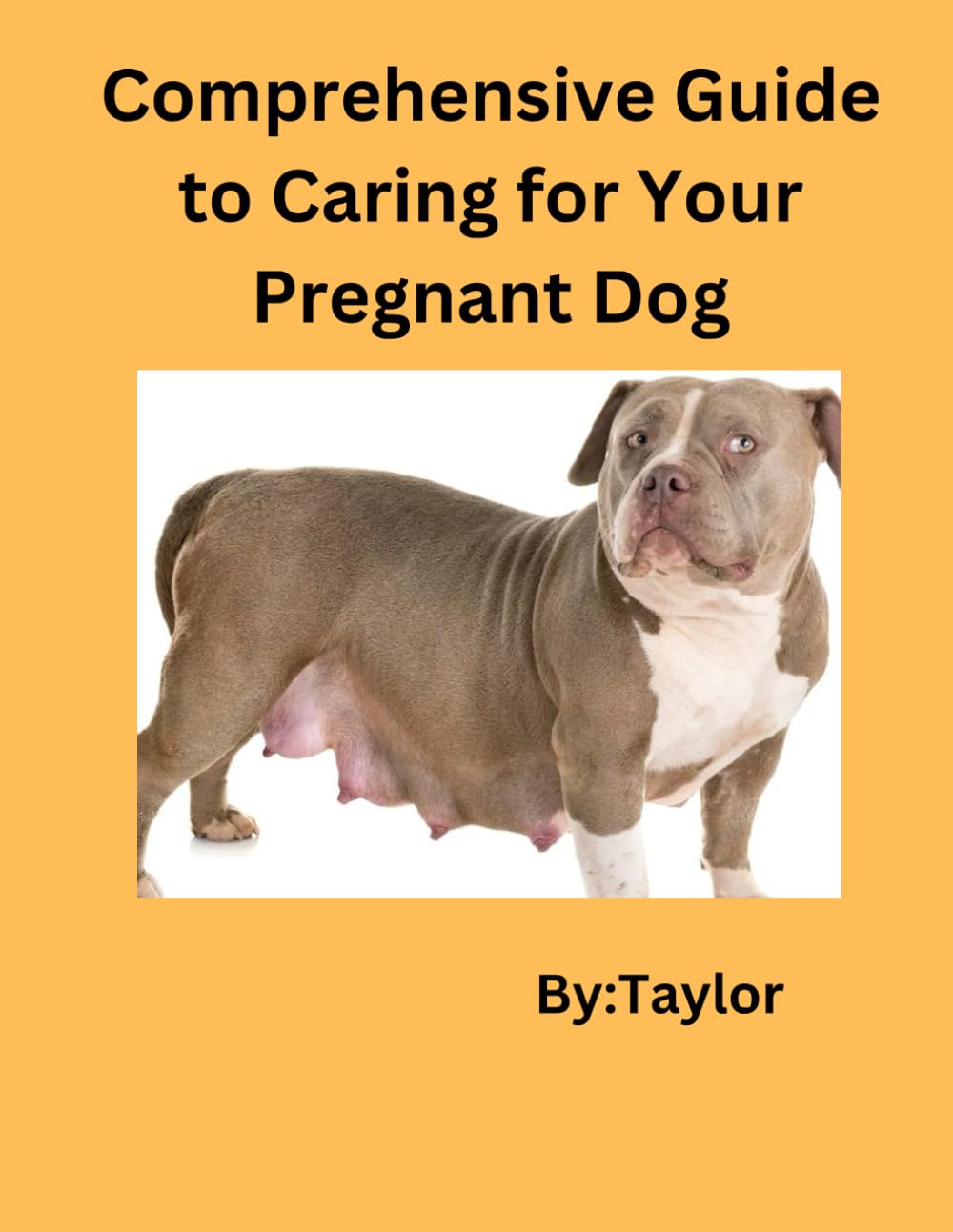 Comprehensive Guide to Caring for your Pregnant Dog
