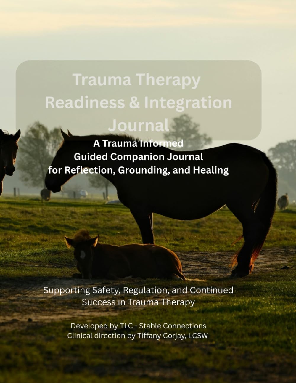 EMDR, Readiness & Beyond Companion Integration Journal: A Guided 90-Day Trauma-Informed Therapy Journal for Reflection, Regulation, and Healing Between Sessions