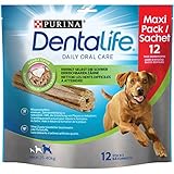 Dentalife