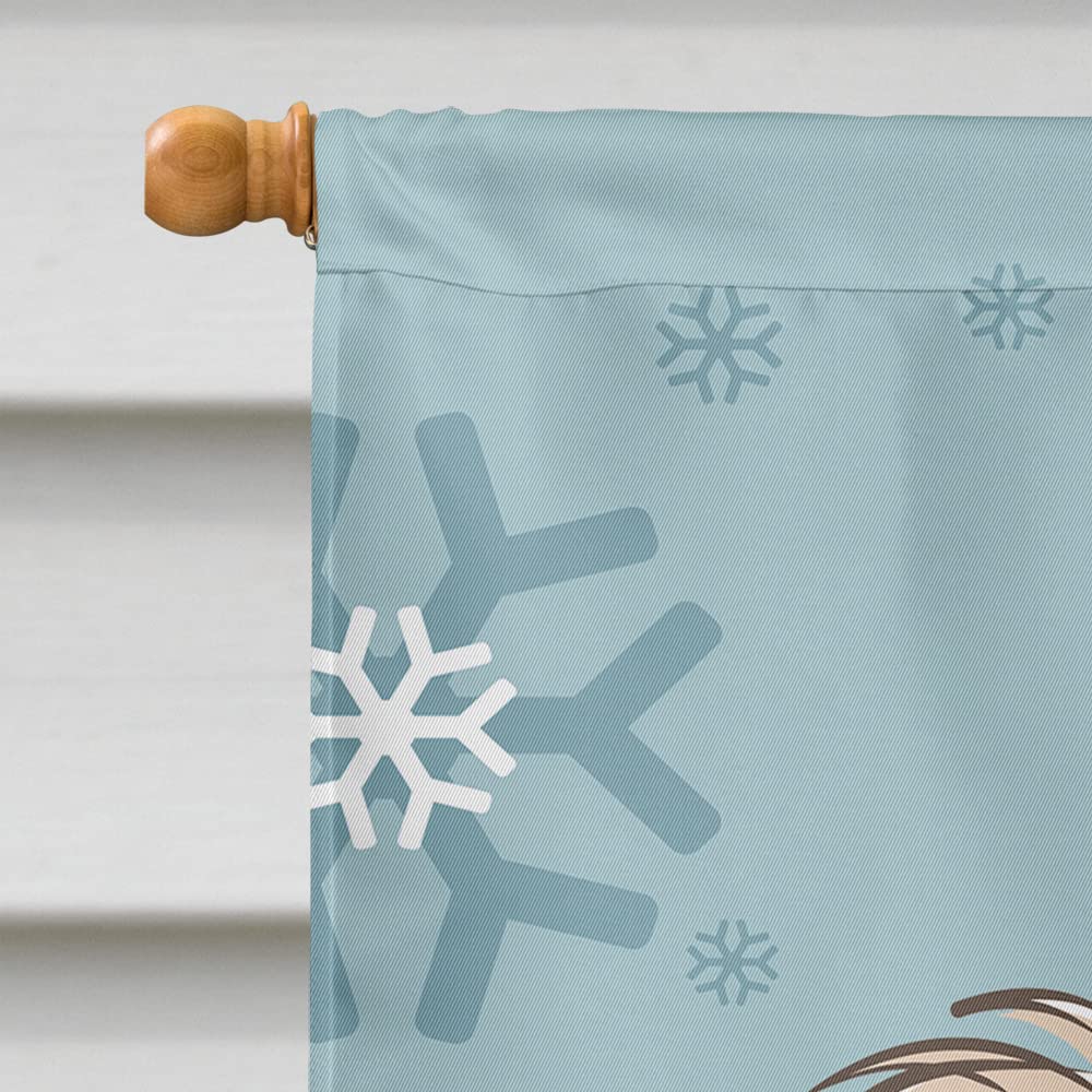 Caroline's Treasures Drapeau De Jardin à 2 Côtés Black