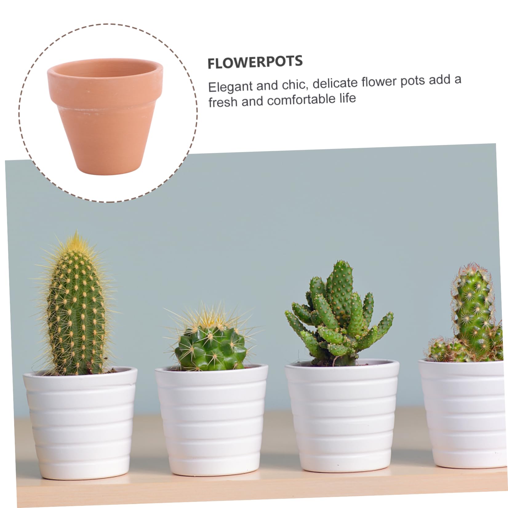VANZACK Vasi Piccoli Fori di Drenaggio in Terracotta Rossa 10 Pezzi per Piante Succulente e Cactus per Decorazioni Casa e Bomboniere Shower