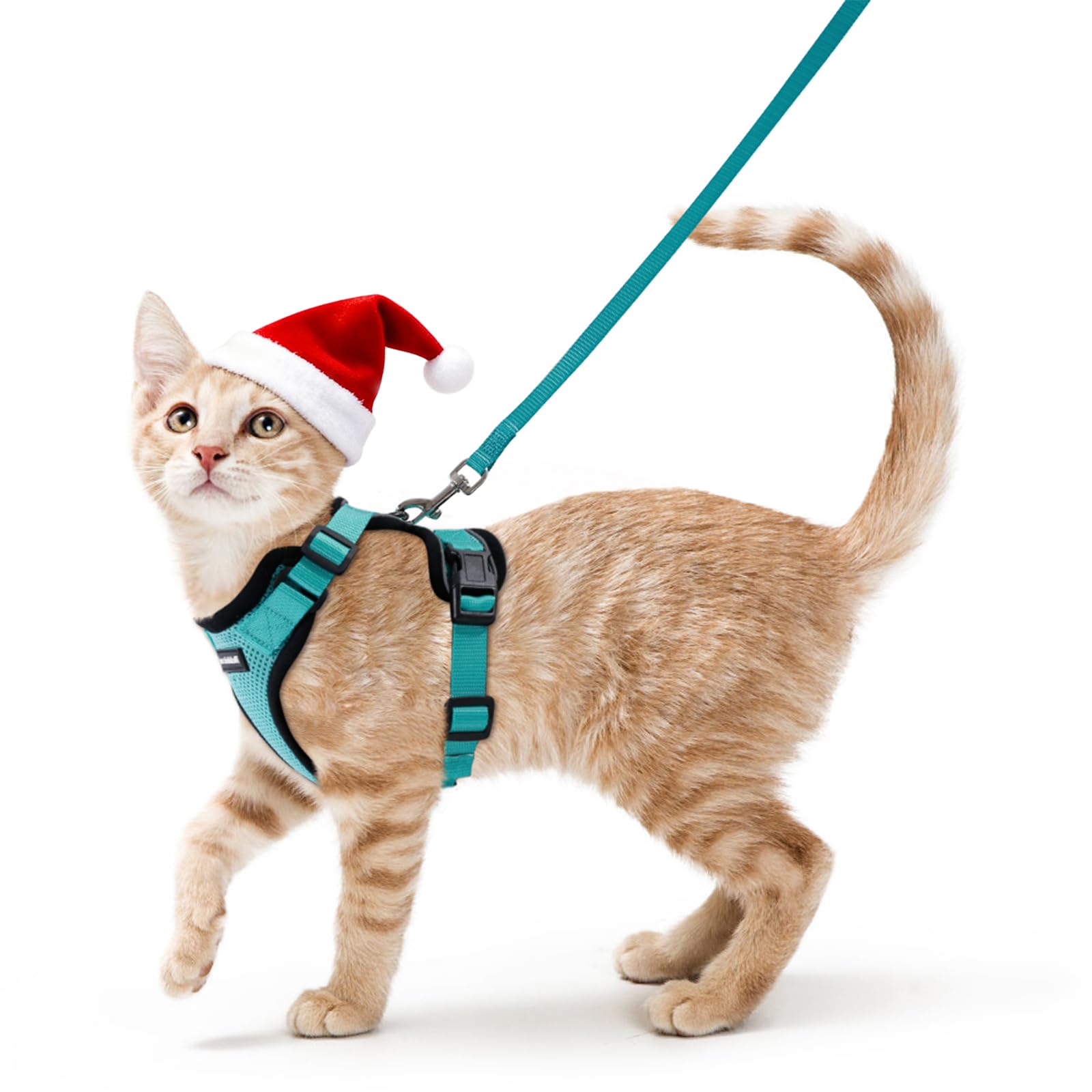 rabbitgoo Cat Harness and Leash for Walking, Escape Proof Soft Adjustable Vest Harnesses for Cats, Easy Control Breathable Reflective Strips Jacket, Emerald, XS