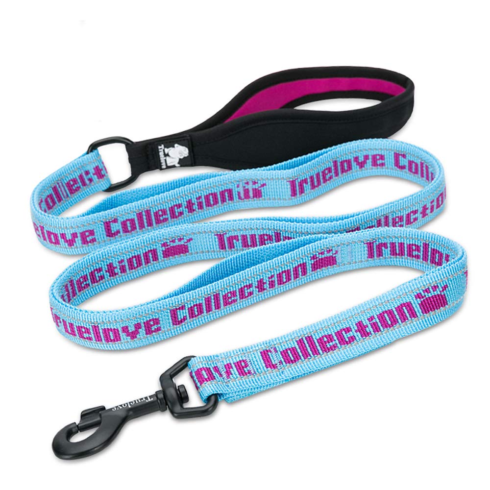 TRUE LOVE Dog Lead Leash Reflective Night Safe Rope No Pull with Multi Handles Durable Nylon for Small Medium Large Dogs Walking TLL3071（Sky Blue/Fuchsia,L）