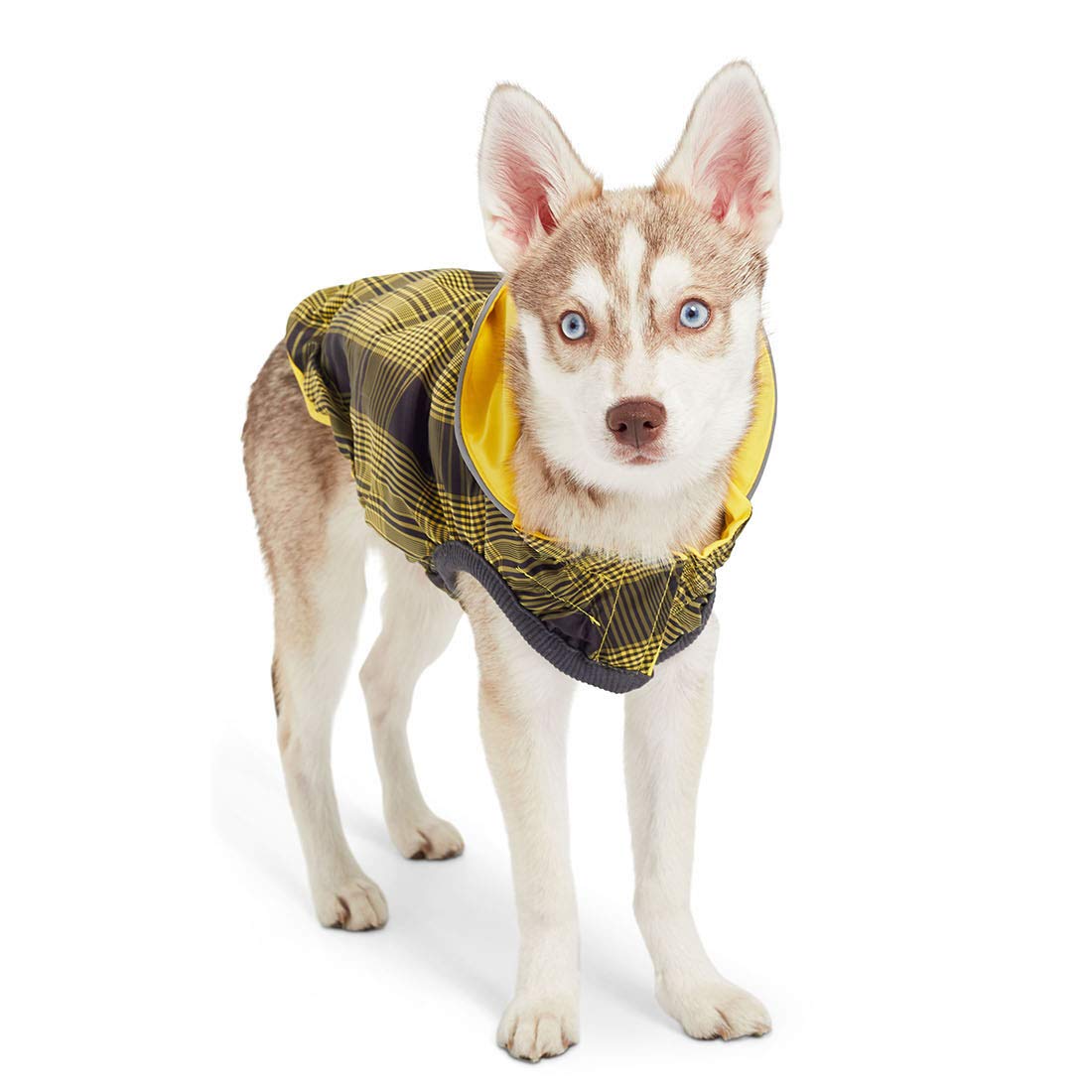 xxs dog raincoat