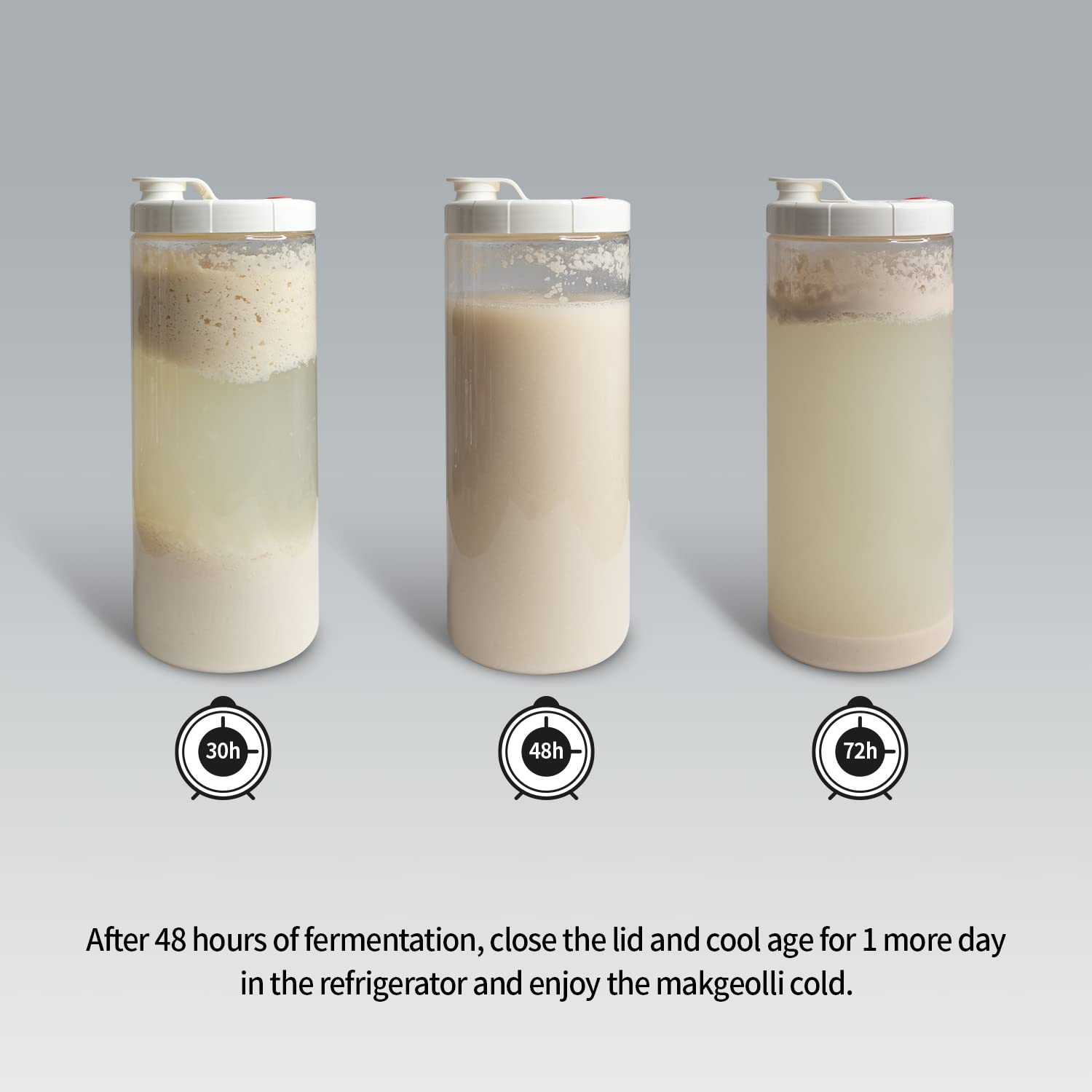 Anzeigefermentation Starter Set | Fermentation Starter Set Angebote