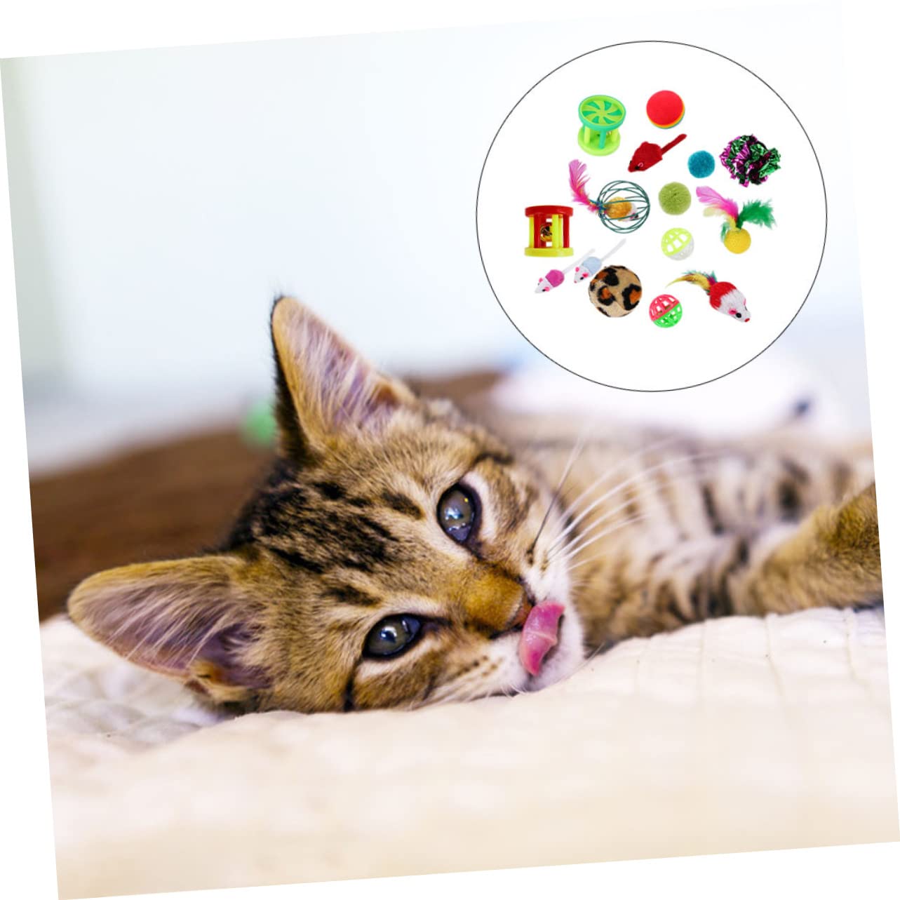 Mipcase 96stücke Teiliges Katzenspielzeug Federn Und Glockenball Interaktives Unterhaltsames Und Anregendes Spielzeug Für Katzen Und Kätzchen Fördert Bewegung Und Selbstbeschäftigung