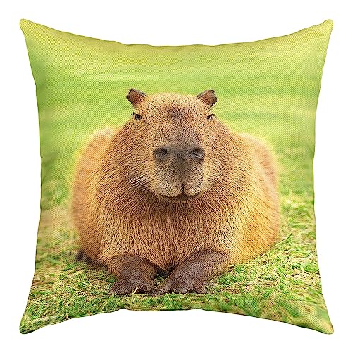 Housse de coussin Capybara 60x60 cm pour canapé triste - 2