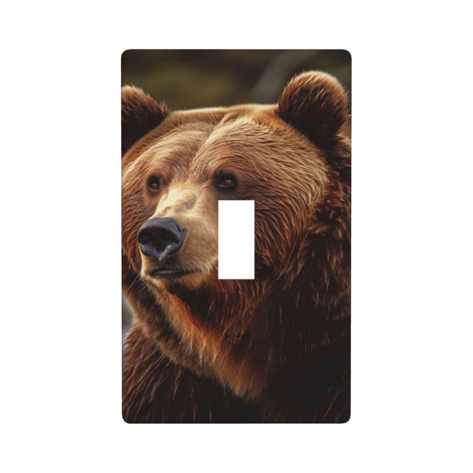 1-Gang Decorator Wall Plate Grizzly Bear Light Switch Cover Single Toggle Receptacle Outlet Wall Plate 4.5" x 2.8" Wallplate Unbreakable Polycarbonate Outlet Faceplates Covers