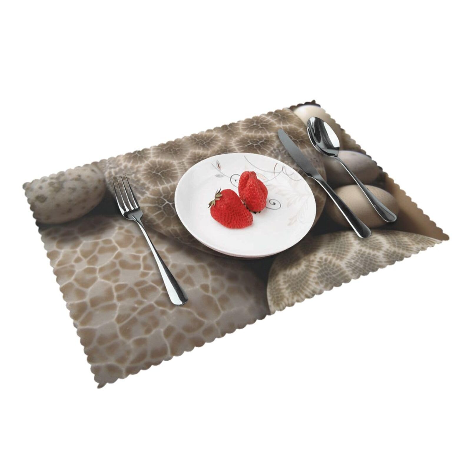 Petoskey Stone Printed Placemat Heat Resistant Place Mats Set of 4 PCS Washable Kitchen Table Mats, 12x18 Inch