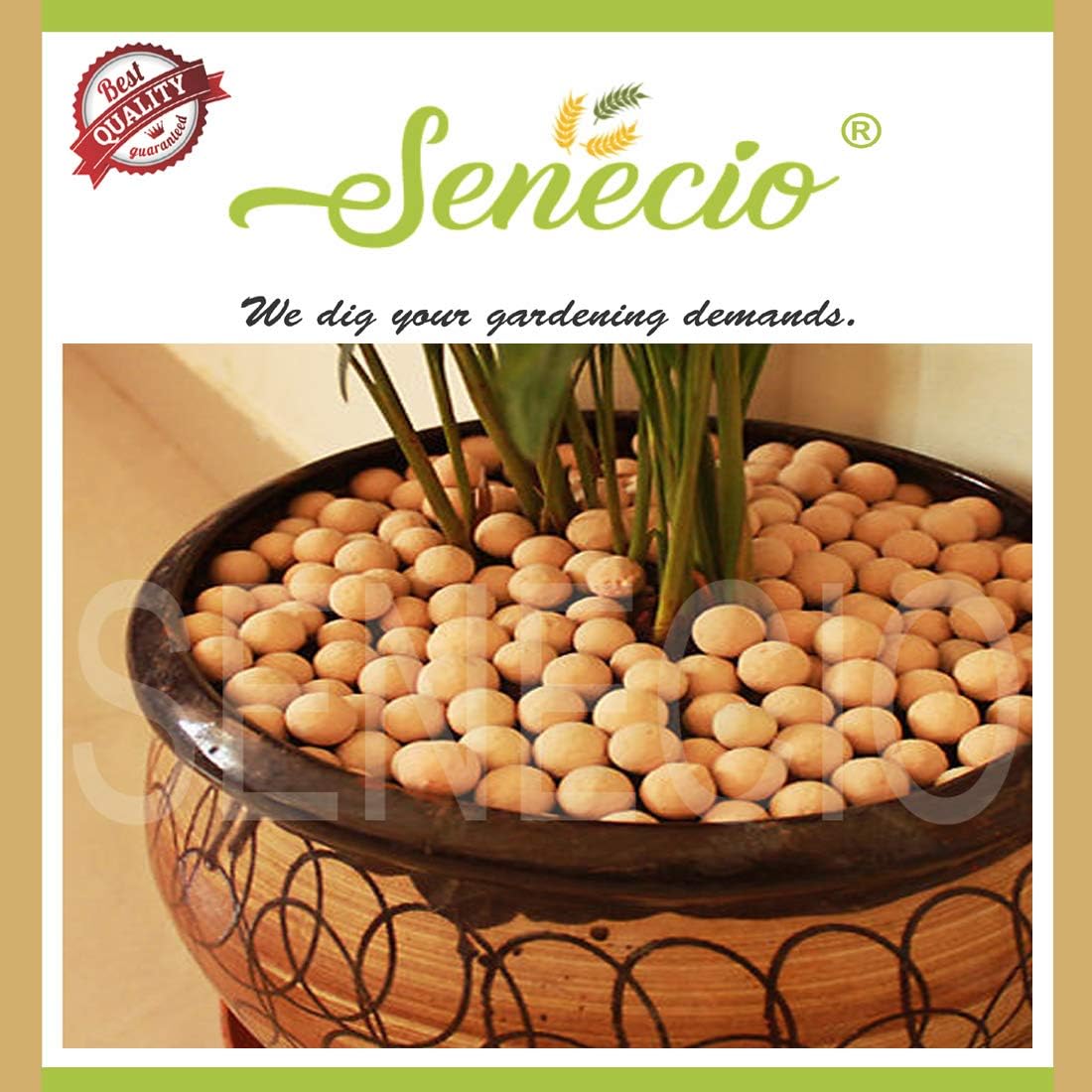 SENECIO� 900 Grams Non Floating HYDROTON Clay Balls for Plants, Lightweight EXPANDED Clay Aggregate for hydroponic, Aeroponics, and Aquaponics, Aquaculture, Garden, etc.