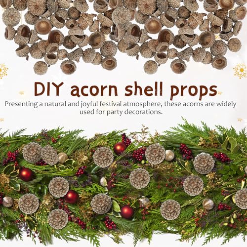 BESPORTBLE 100 piezas Cáscaras de Bellota Natural para Manualidades miniatura 6