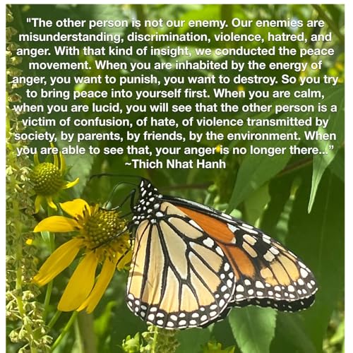 Mindful Meditation for Inner Peace