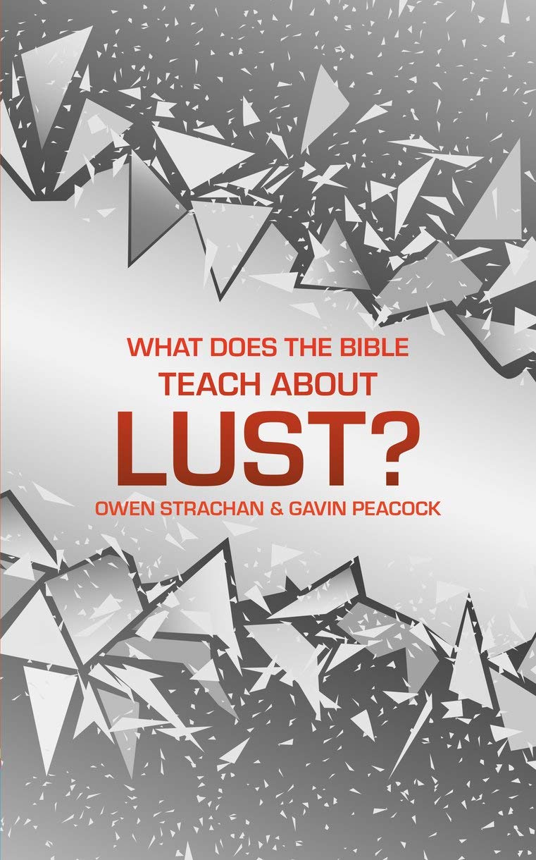 What Does the Bible Teach about Lust?: A Short Book on Desire (Sexuality And Id